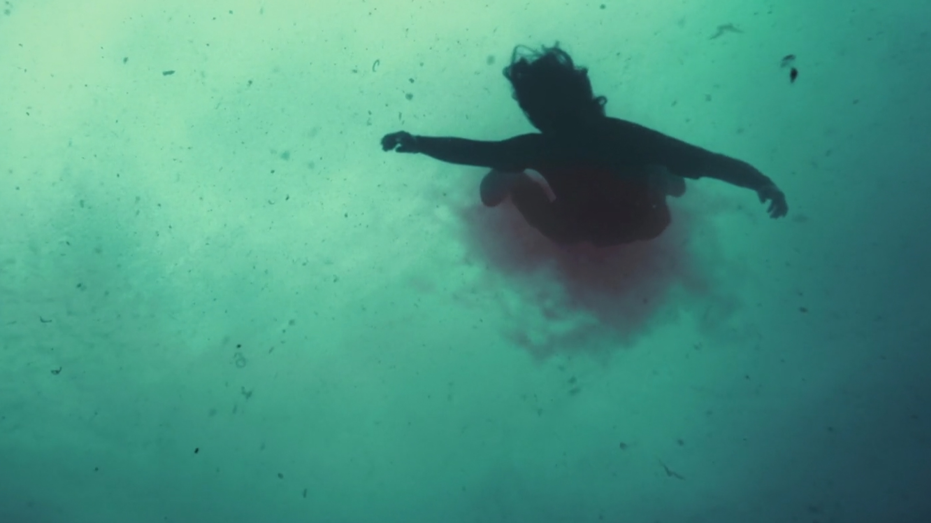 Homage Jacques Audiard Kustendorf 2016